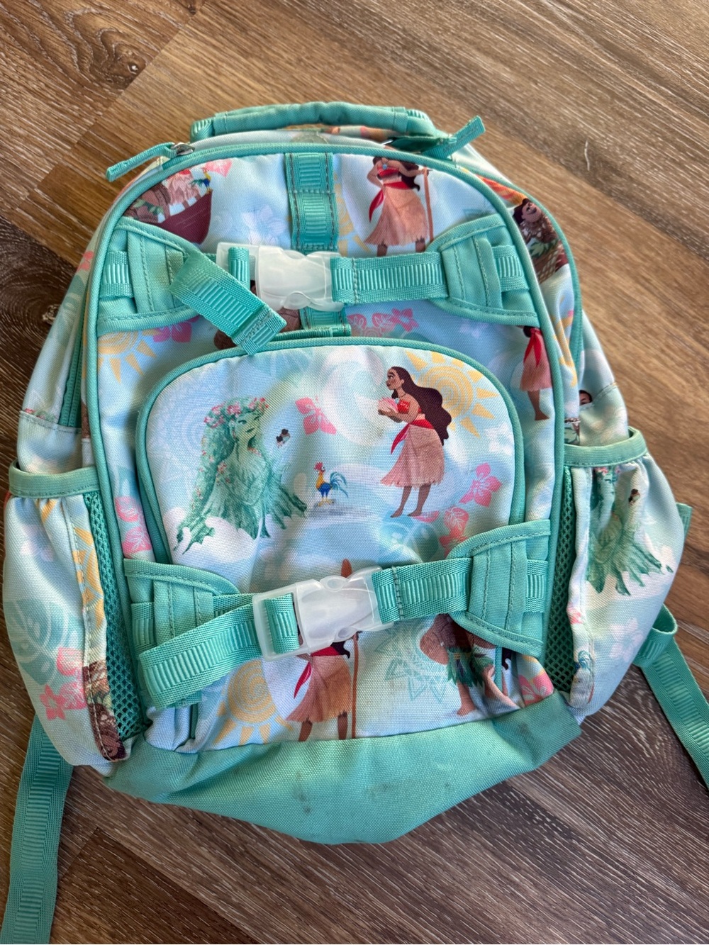 Pottery Barn Kids Aqua Floral Character Backpack